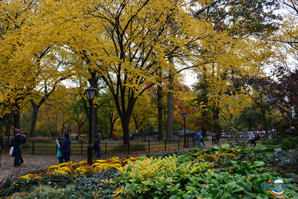 Центральный Парк в Нью-Йорке
